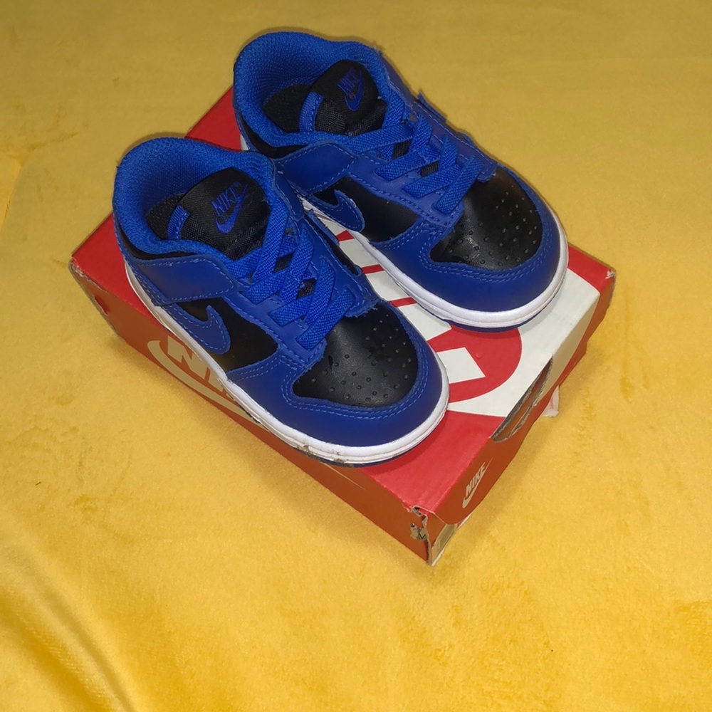Toddler size 6C Nike Dunks